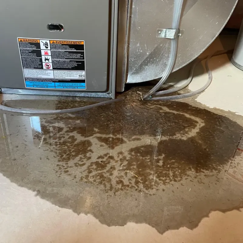 Appliance Leak Cleanup in Tuskegee, AL